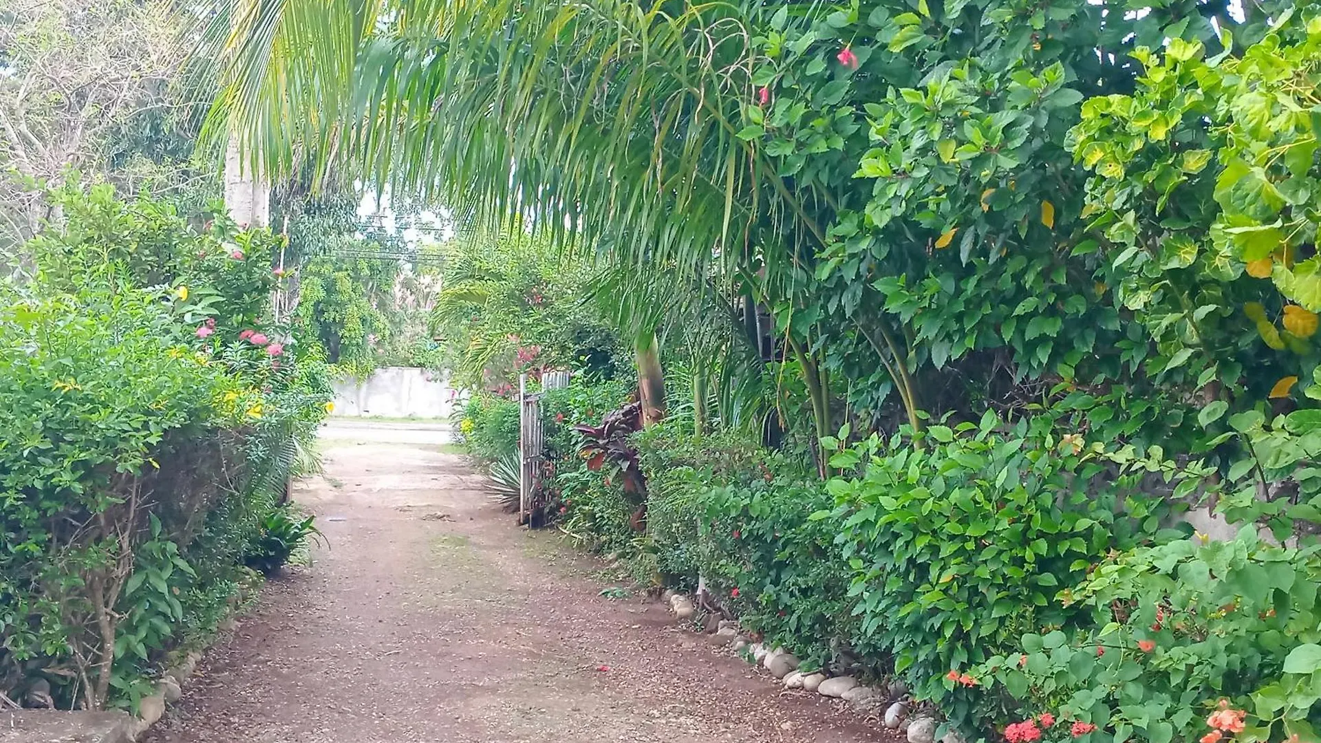 The Gibson'S Palace St Mary 0*,  Jamaica